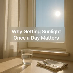 Why Getting Sunlight Once A Day Matters