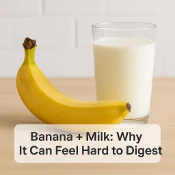 Banana Milk Why It Can Feel Hard To Digest